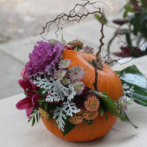 floral pumpkin in an orange halloween pumpkin to make a spooky season decoration at a flower workshop at bits and buds florist leighton buzzard