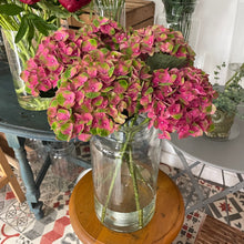 Load image into Gallery viewer, hydrangea seasonal flower subscription from Bits and Buds florist leighton buzzard bedfordshire. limited time offer
